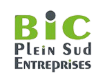 BPI France